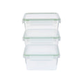 Ernesto Food Storage Container Set, 3 Pieces, Square with Silicone Seal and Click Lid
